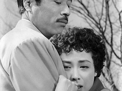 『やっさもっさ』写真
