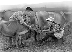 『喜劇 金の実(な)る樹に恋が咲く』写真