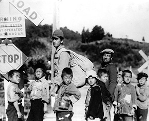 『蜂の巣の子供たち』写真