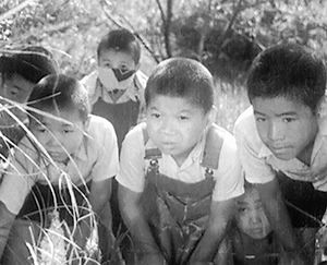 『その後の蜂の巣の子供たち』写真