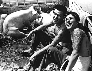 『まむしの兄弟 傷害恐喝十八犯』写真