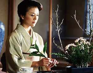 『紅薔薇夫人』写真