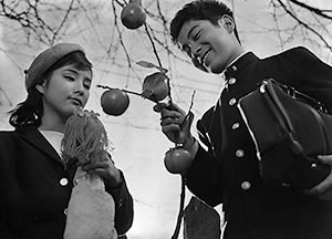 『美しき抵抗』写真