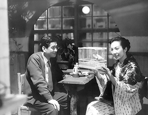 『夜の鴎』写真