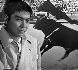 『闘牛に賭ける男』写真