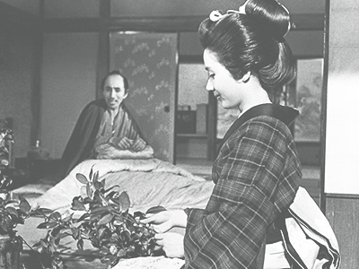 『五瓣の椿』写真